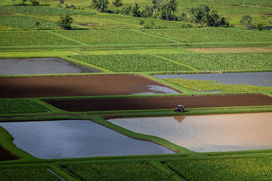 Vista aérea de parcelas agrícolas y territorio